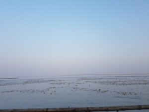 View bhramaputra river majuli