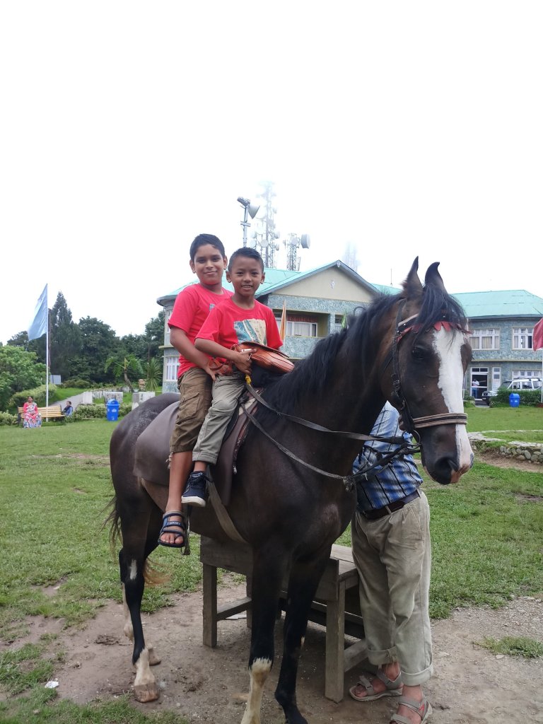 Pic of kids riding on horse at Delo Park